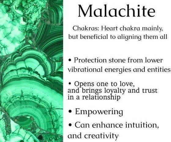 Genuine Malachite & Picture Jasper Stretch Bracelet! Rare Gemstone!
