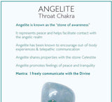 Angelite Celestite & Crystal Quartz Bracelet! Genuine Gemstones!